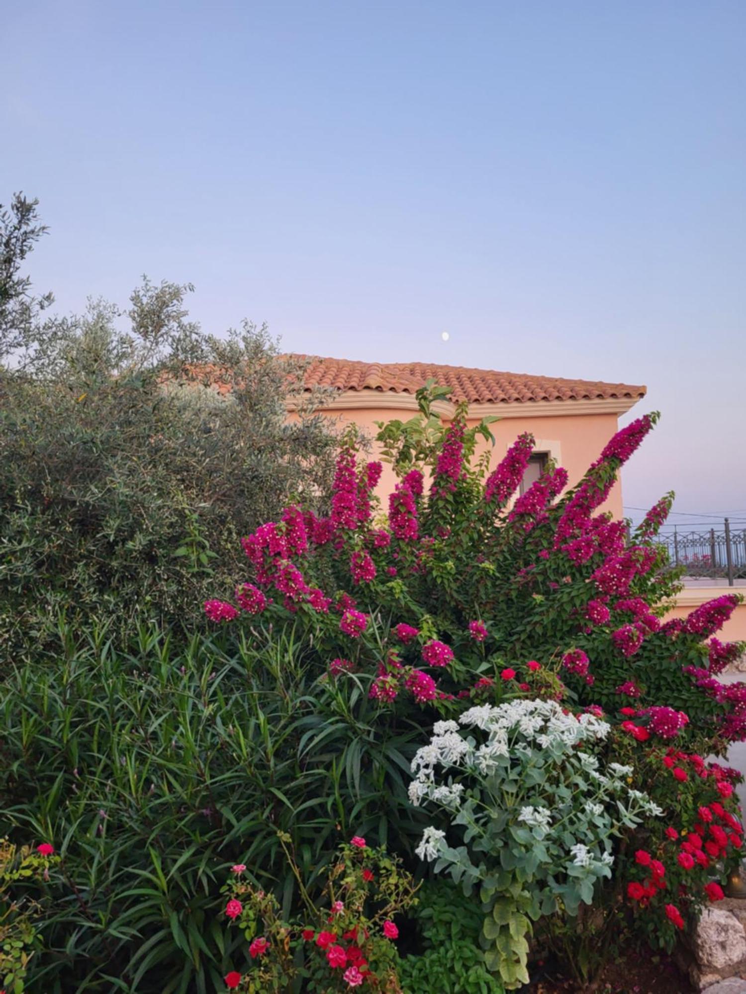 Korallis Villas Karavados Exterior photo