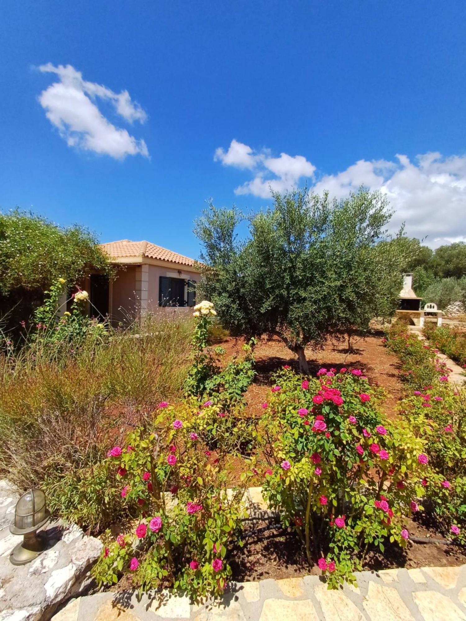 Korallis Villas Karavados Exterior photo